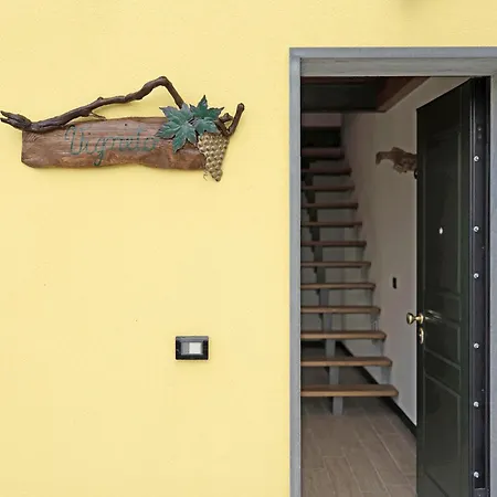 Lice - Vigneto קזארצה ליגורה