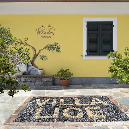 Lice - Vigneto *