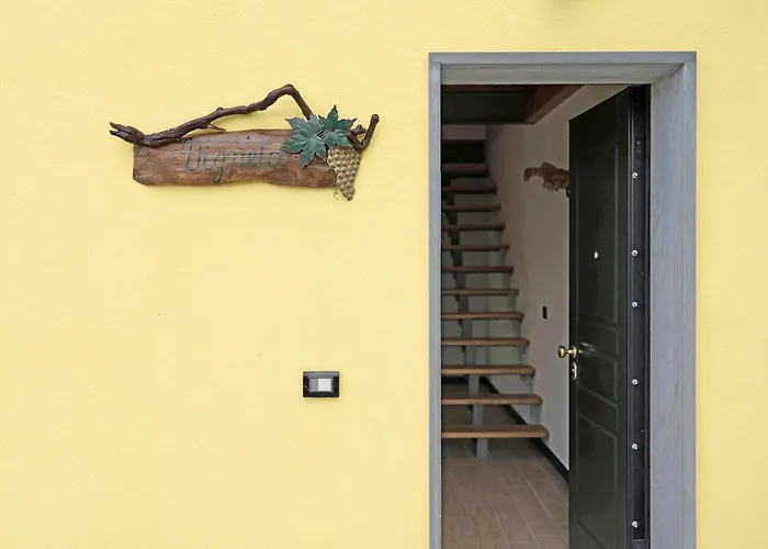 Lice - Vigneto Casarza Ligure